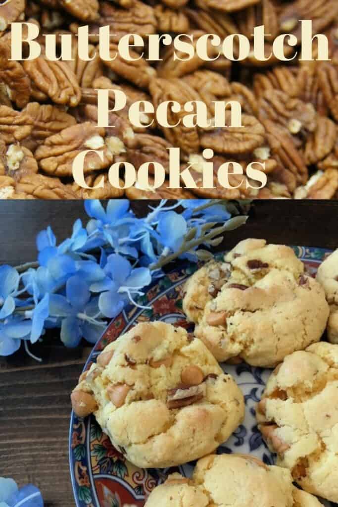 Plate of butterscotch pecan cookies