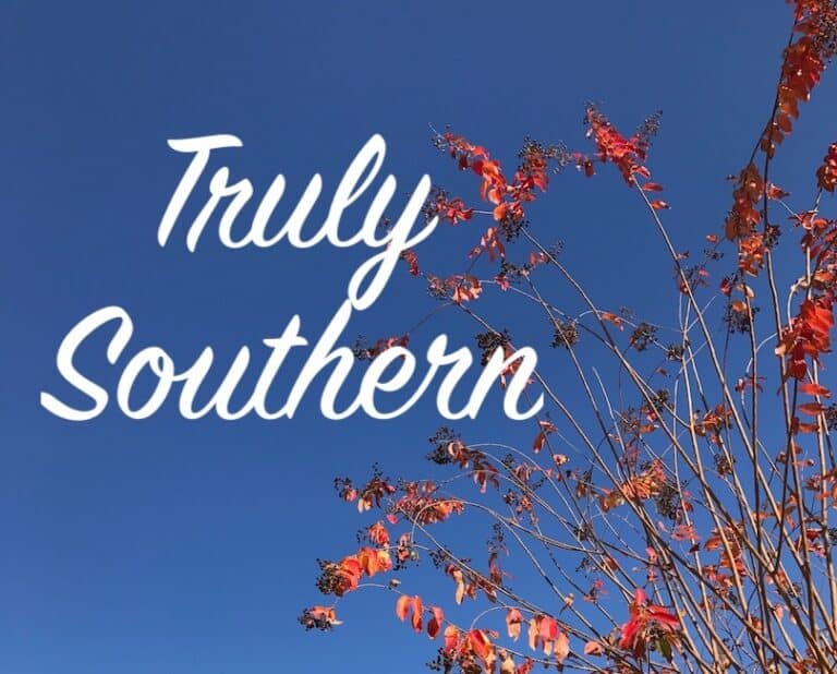 Blue sky behind tree with red leaves and truly southern in white