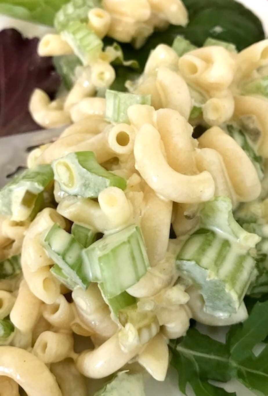 Creamy & Comforting Macaroni Salad Recipe