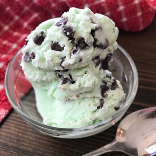 Bowl of mint chocolate chip ice cream