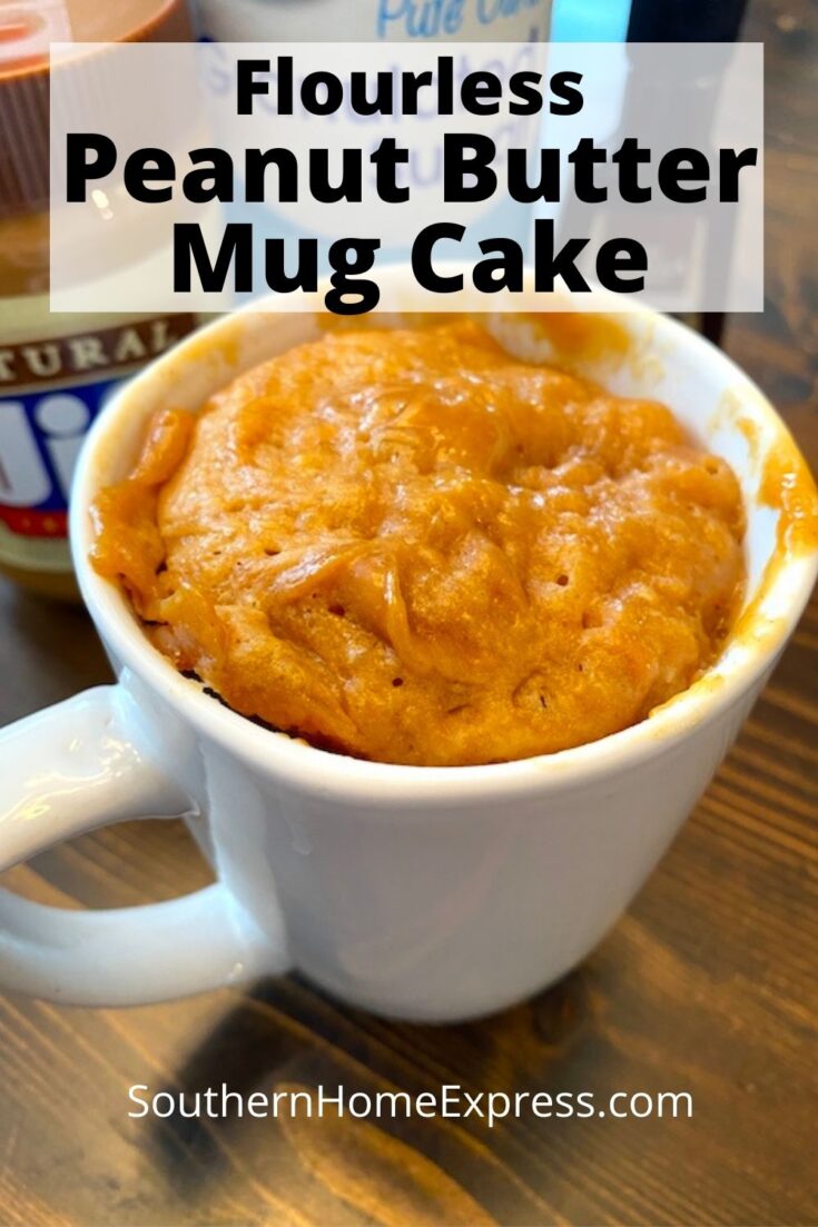 Peanut Butter Mug Cake Recipe Without Flour Southern Home Express