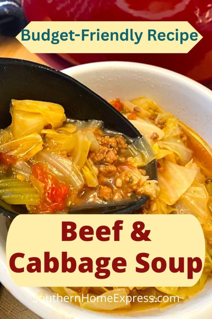 bowl of beef and cabbage soup with serving spoon